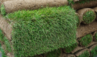 Image Why Sod Is the Beest Lawn Solution