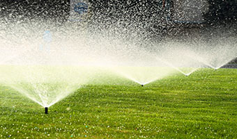 Image A Guide to Watering Your Sod